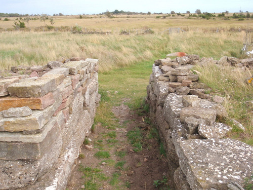 Viking Fortress Interior Structures.